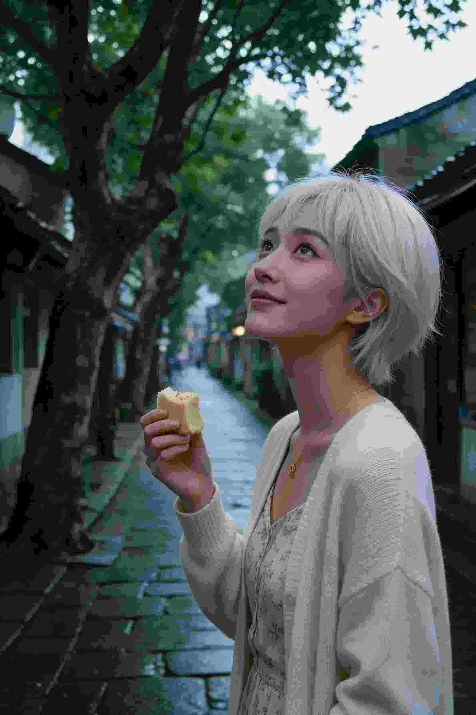 暗月之光